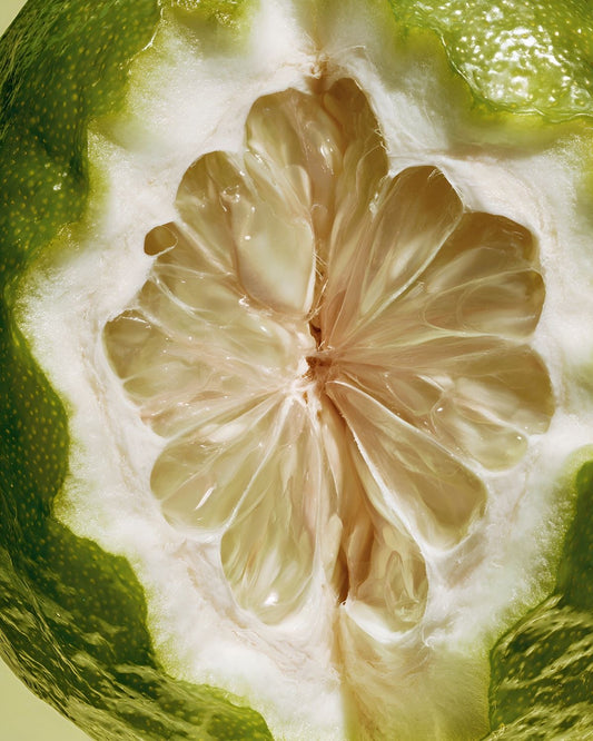 Her summer- Bergamot
