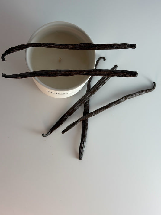 scented candle - Dark vanilla