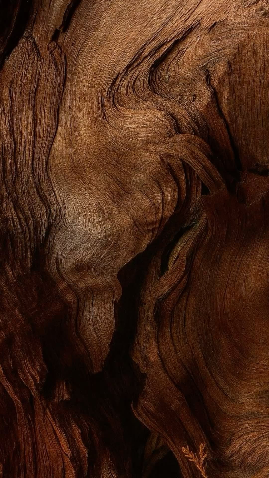 Her world - Light oud